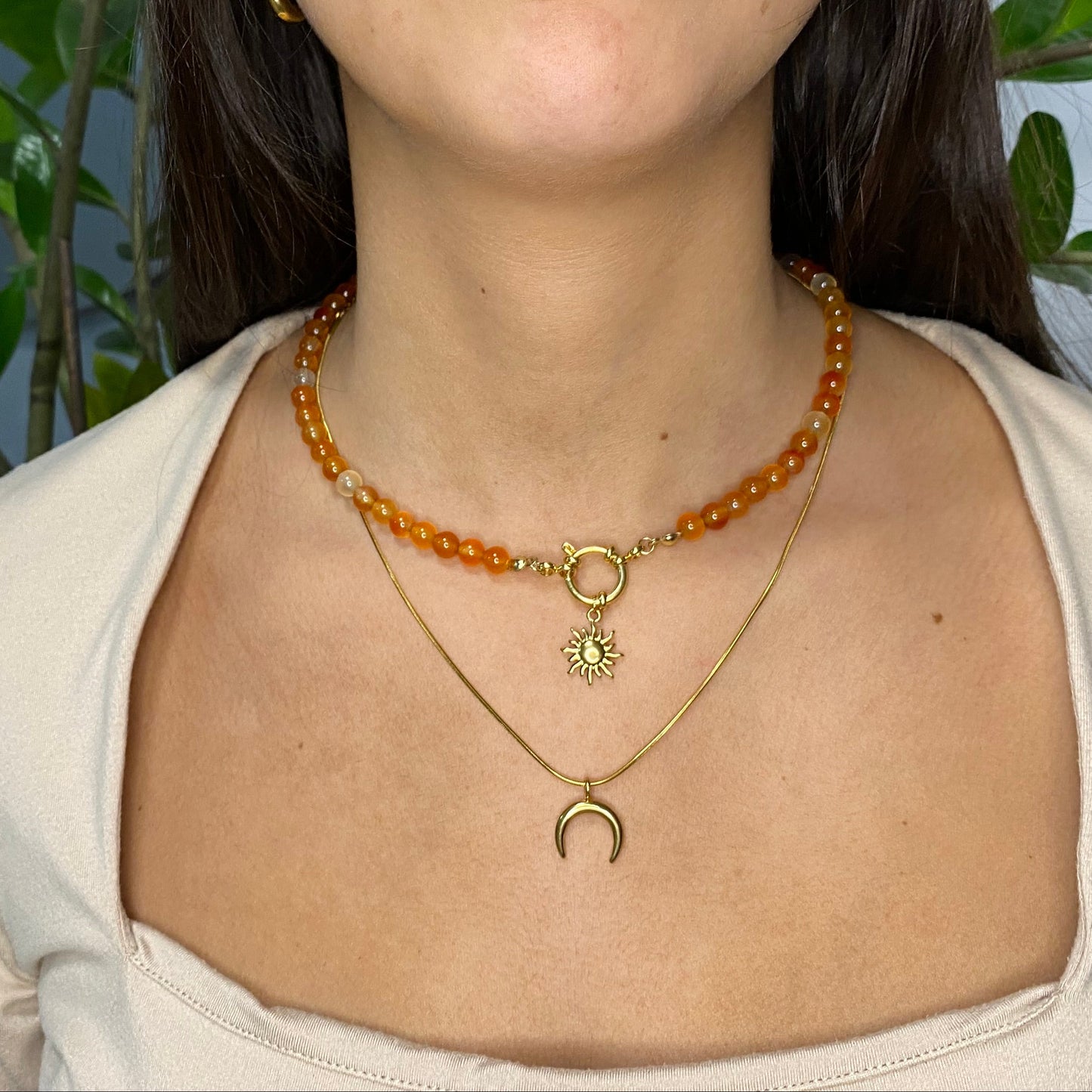 Jewelry Set - Carnelian and Stainless Steel Necklace