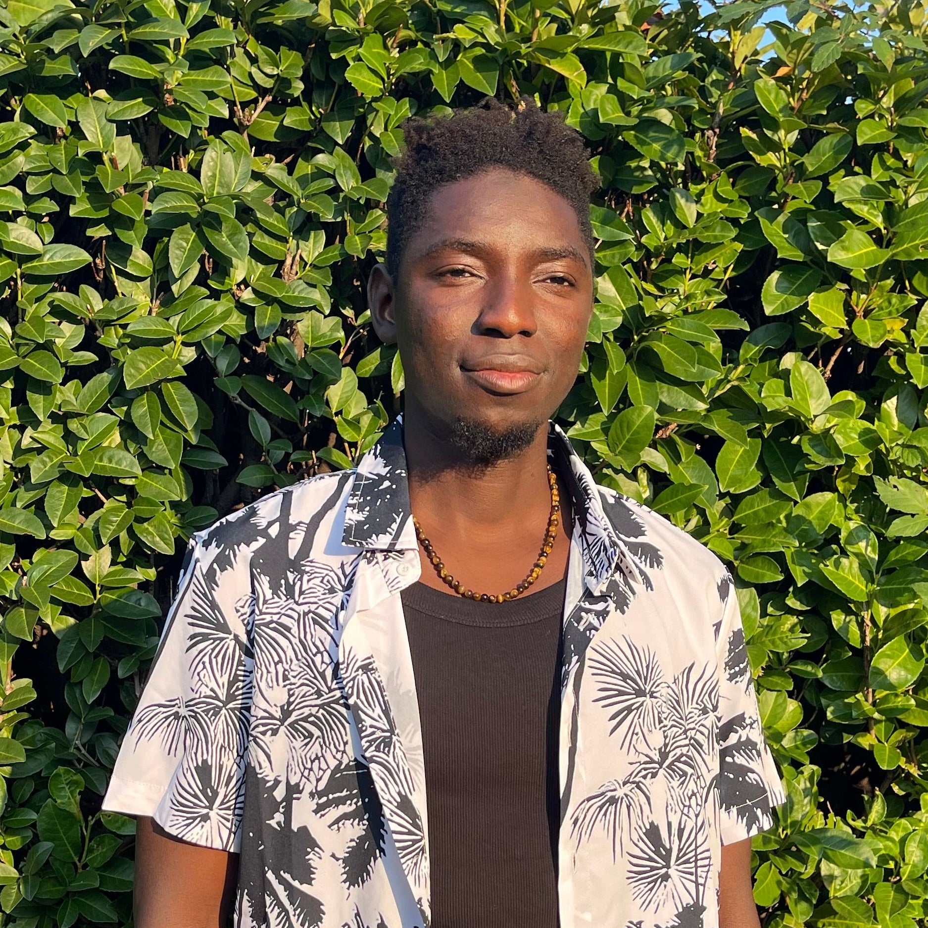 Collana occhio di tigre